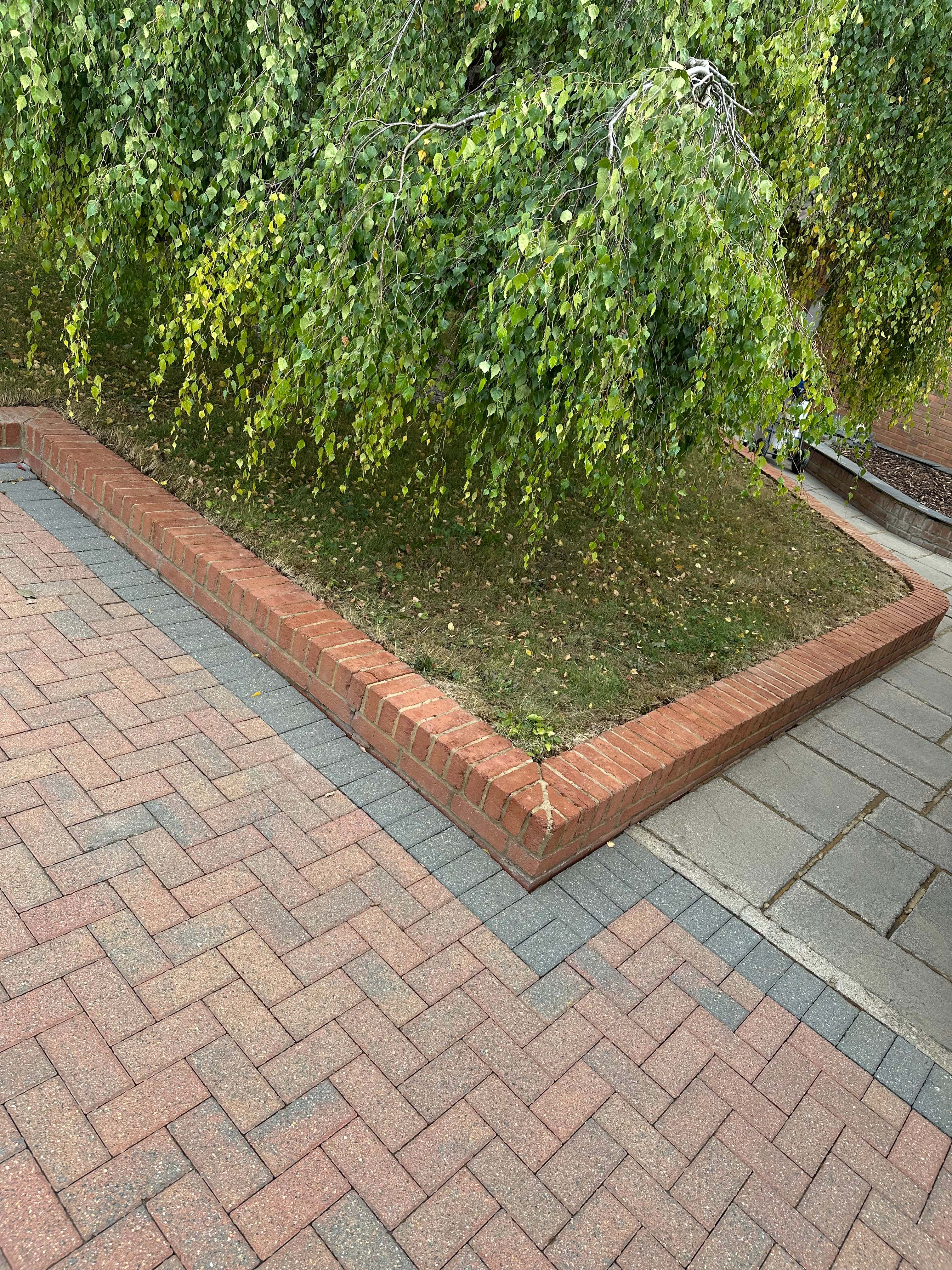Pressure washing a hard exterior surface in Aylesbury
