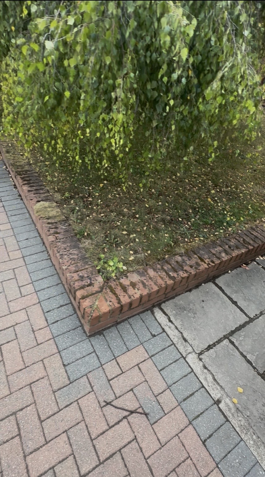 Block paving driveway — before cleaning